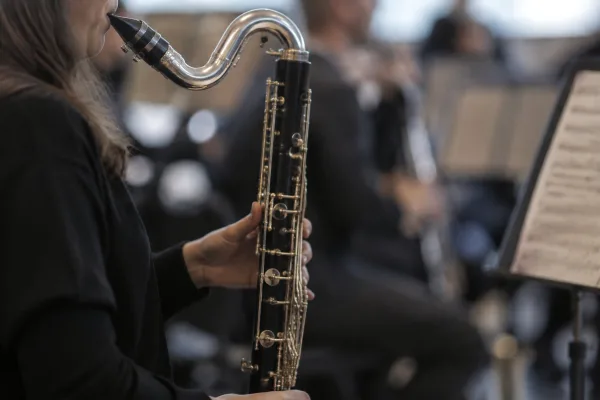Common Bass Clarinet Clarinets Mistakes to Avoid