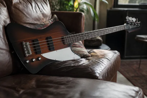 Common Thunderbird Bass Mistakes to Avoid