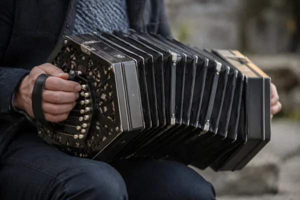 Concertina: A Complete Buyer's Guide
