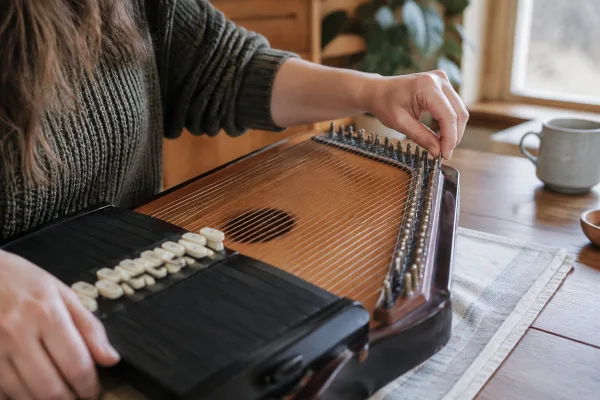 How to Set Up and Use Autoharp