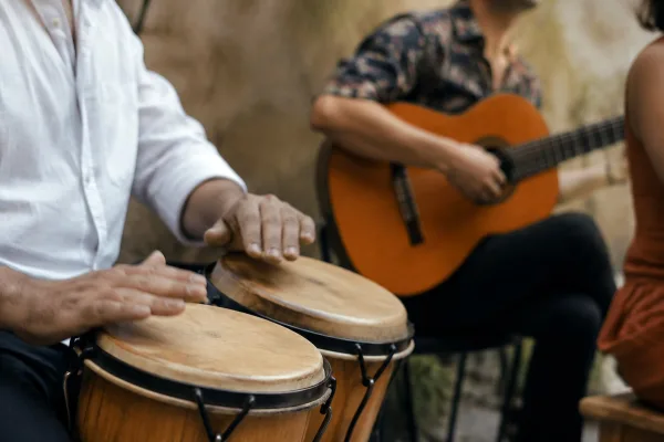 Latin Music Subgenres, Explained