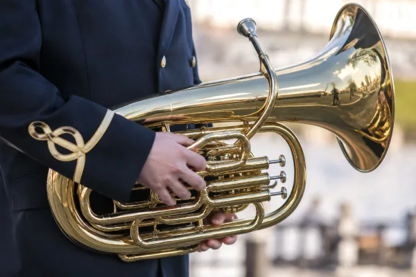 Tenor Horn Instrument: A Complete Buyer's Guide