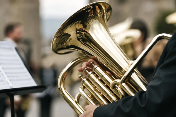 Tenor Horn Instrument Explained: Features, Types and Tips