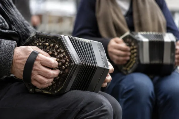 The Best Concertinas for the Money