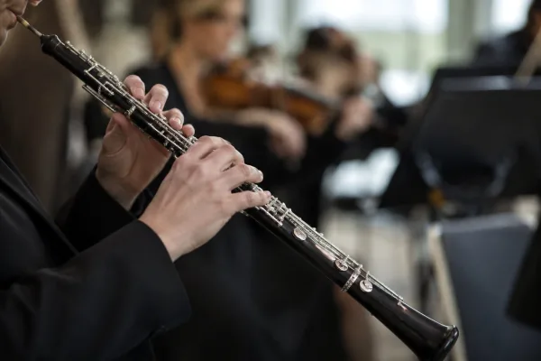 The Best Oboe Instruments for the Money