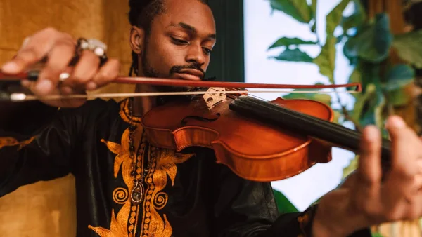 Viola Bow: A Complete Buyer's Guide