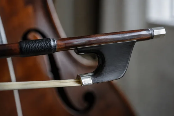 The Ultimate Guide to Double Bass with Bow