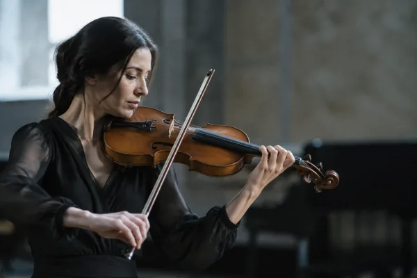 Gewa Pure Violin Case: A Complete Guide