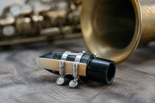 The Ultimate Guide to Ligature Training