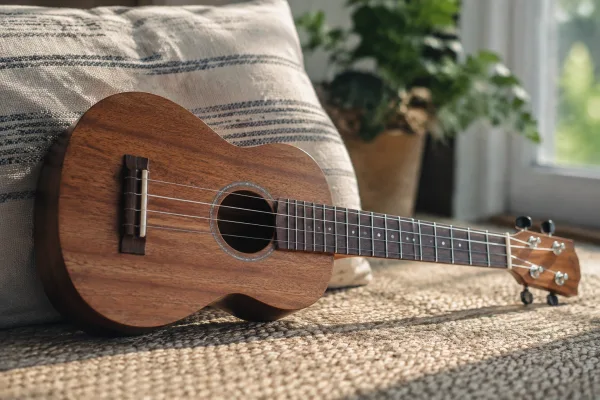 Ibanez Ukulele: A Complete Guide