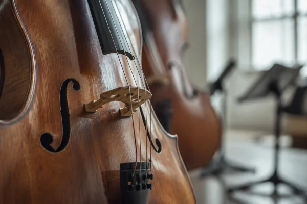 How to String Musical Instruments