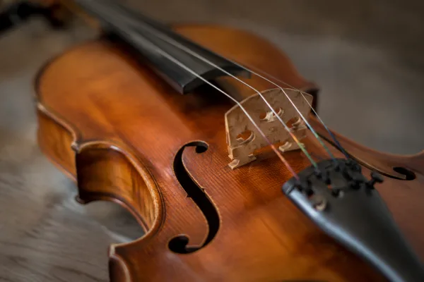 Violin Music Instrument Price: A Complete Guide