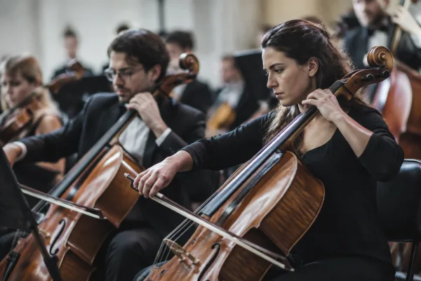 Stand Up Bass vs Cello: Which Should You Choose?