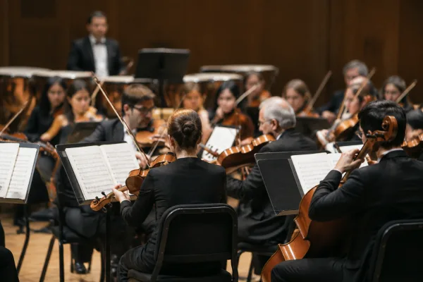 The Ultimate Guide to Tiger Orchestral Music Stand