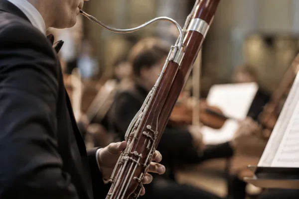 The Complete Guide to Types of Bassoons