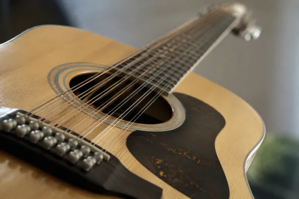 The Complete Guide to Martin 12 String Strings