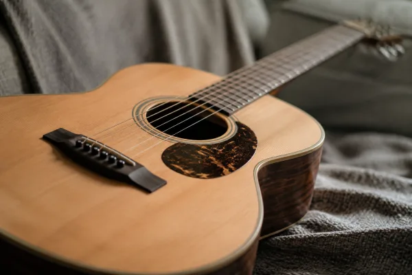 The Complete Guide to Harp Guitar
