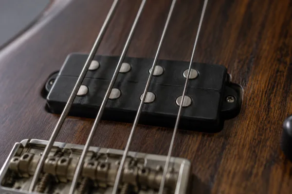 The Complete Guide to Bass With Humbucker Pickups
