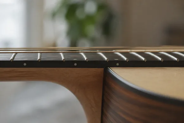 The Complete Guide to String Action