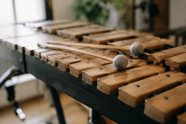 The Complete Guide to Glockenspiel Wooden