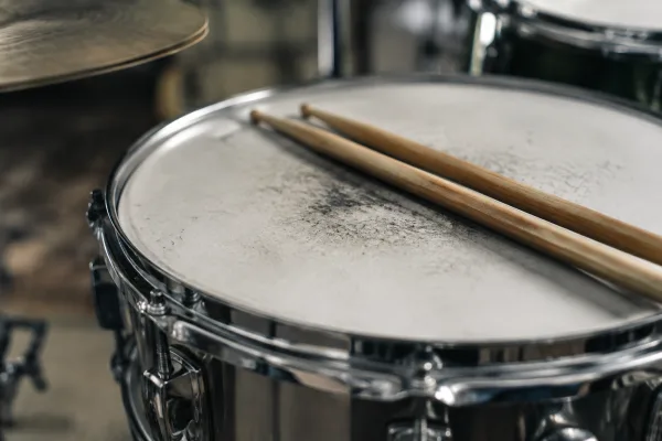 The Complete Guide to Snare Head