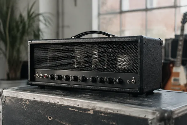 The Complete Guide to Mesa Boogie Ltd