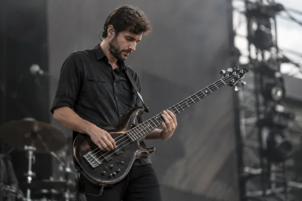 The Complete Guide to Prs Bass Guitars