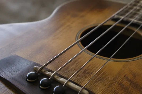 The Complete Guide to Flatwound Guitar String