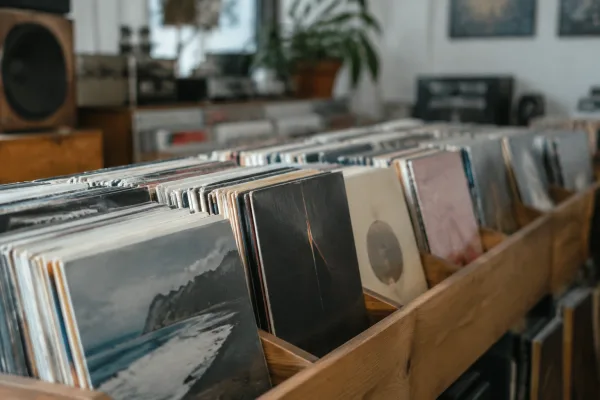 The Complete Guide to Vinyl Chart