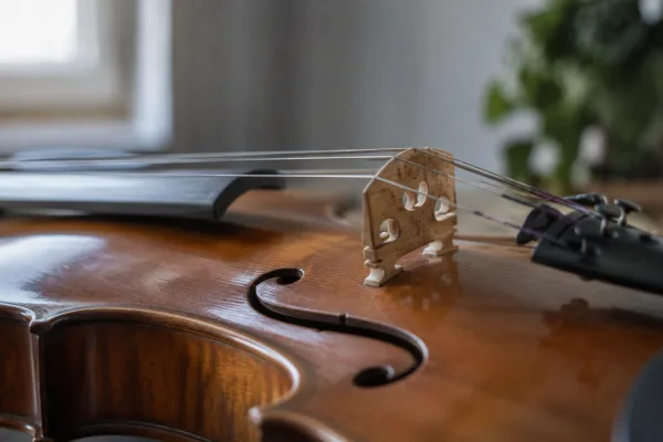The Complete Guide to Bridge Violin