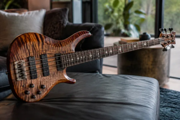 The Complete Guide to Prs Bass