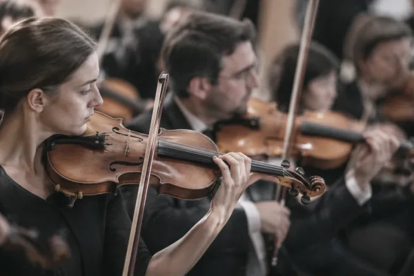 The Complete Guide to Full Size Violin