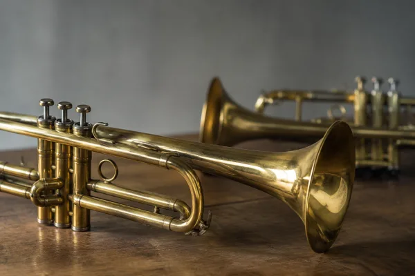 The Complete Guide to Types Of Trumpets Instruments