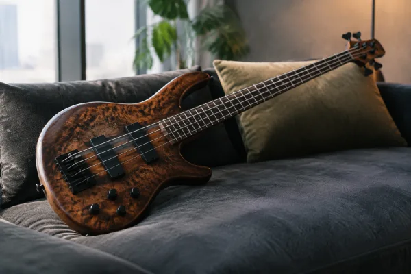 The Complete Guide to Spector Bass