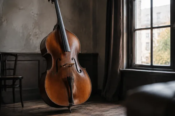 The Complete Guide to Upright Bass Strings