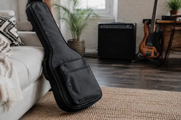 The Complete Guide to Bass Gig Bag