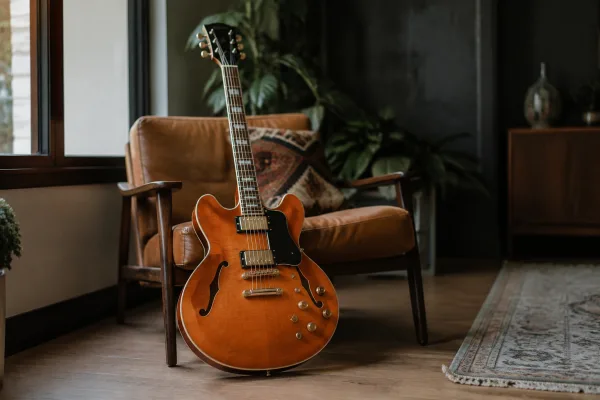 The Complete Guide to Semi Hollow Epiphone