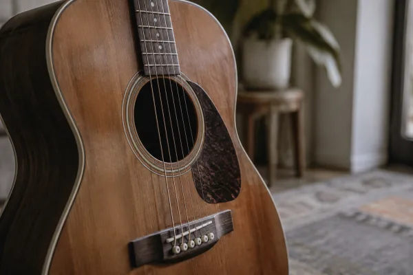 The Complete Guide to Gretsch Acoustics