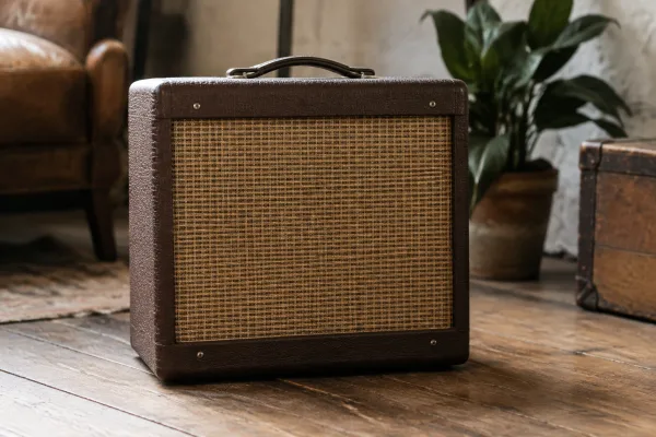 The Complete Guide to Pro Junior Amp