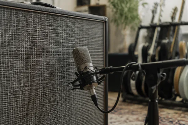 The Complete Guide to Microphone For Amp