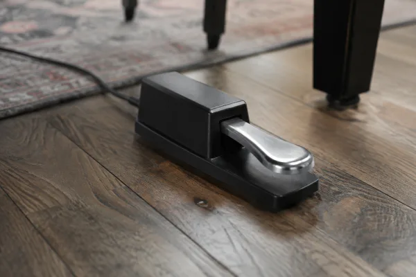 The Complete Guide to Keyboard Sustain Pedals
