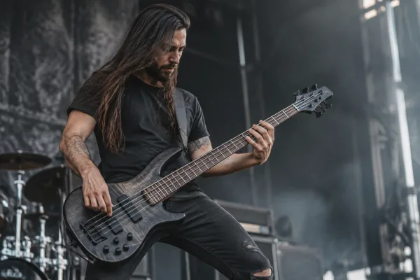 The Complete Guide to Bass Schecter