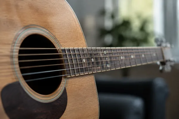 The Complete Guide to Acoustic Steel Guitar