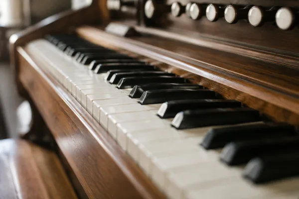 The Complete Guide to Organ Piano Keyboard