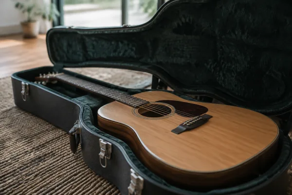 The Complete Guide to Case Acoustic Guitar