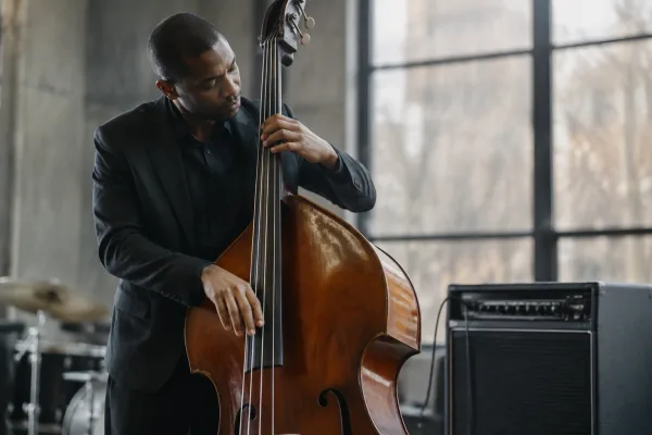 The Complete Guide to Electric Double Bass Guitar