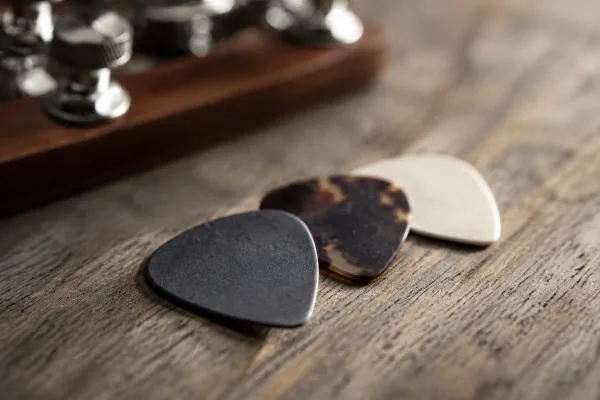 The Complete Guide to Bass Guitar Picks