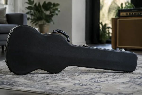 The Complete Guide to Bass Guitar Case
