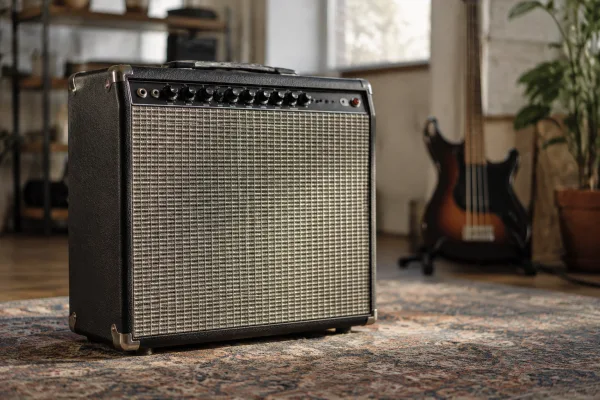 The Complete Guide to Fender Bass Guitar Amplifier