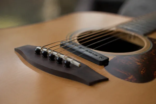 The Complete Guide to Acoustic Pick Up